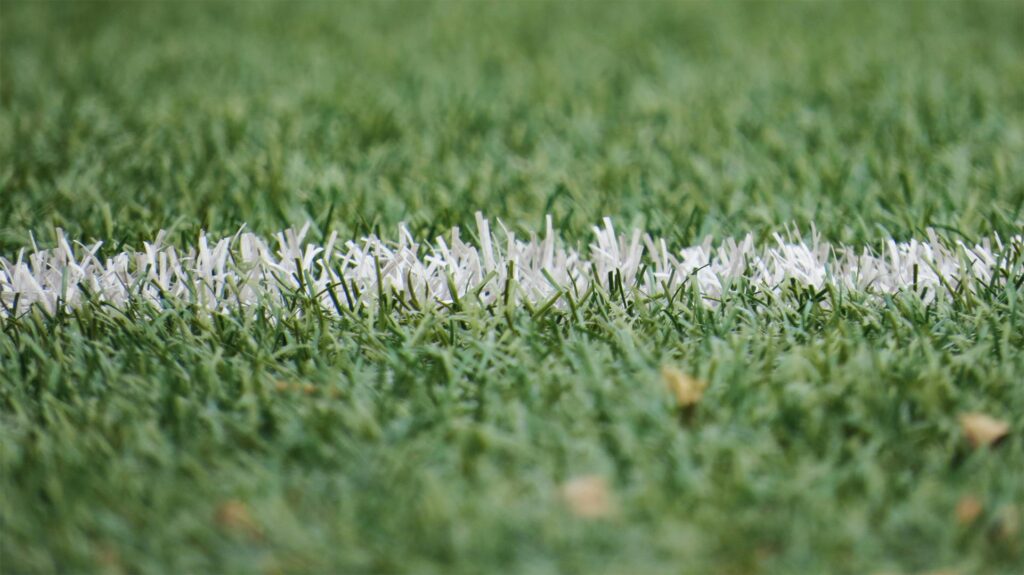 artificial turf